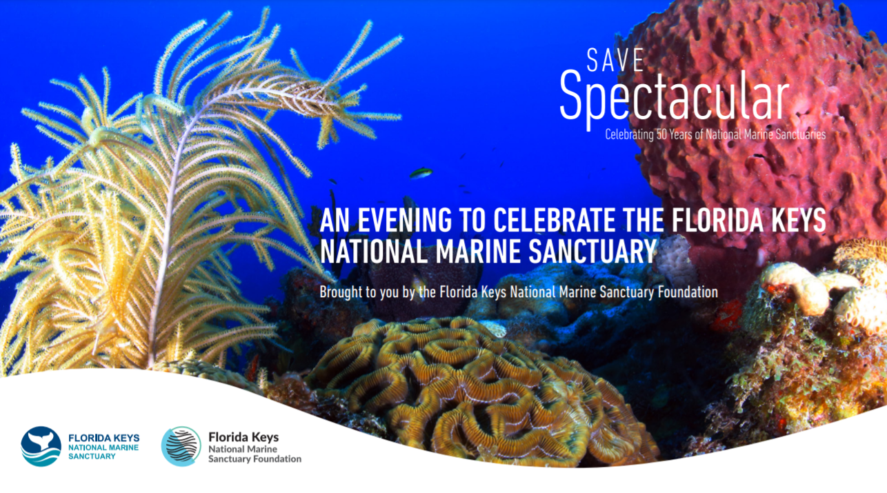 florida keys gala ss graphic test