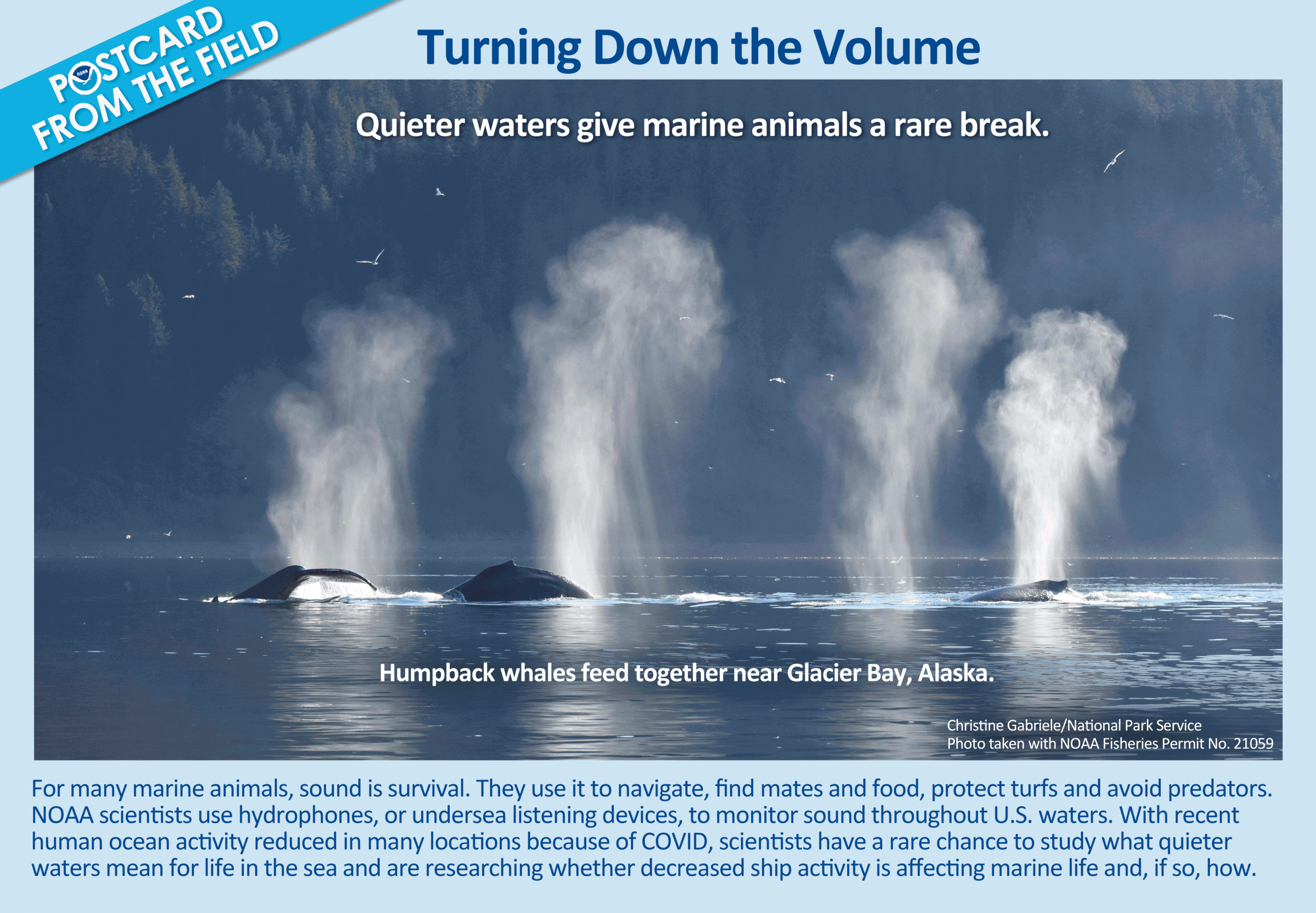 Postcard From the Field - quieter waters during COVID