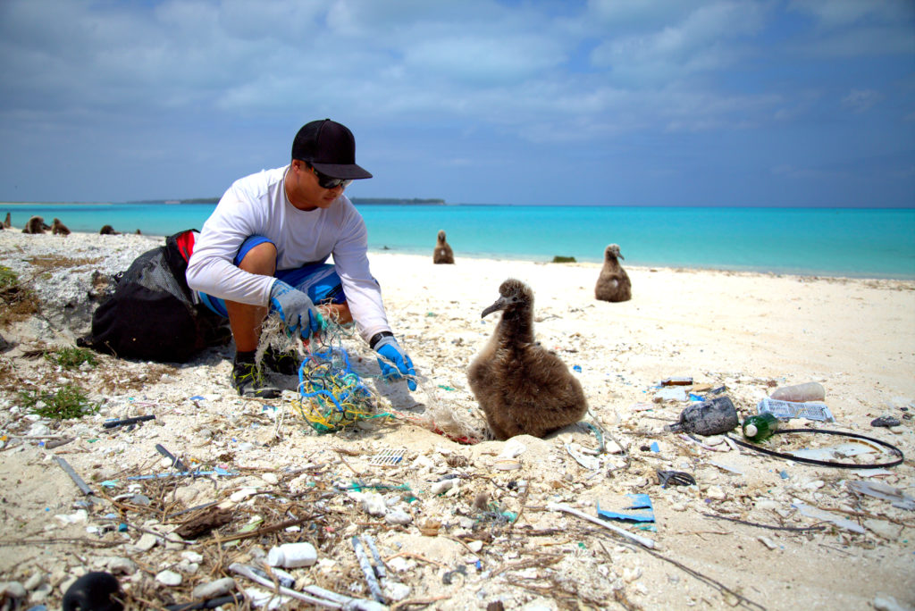 PMNM-DisentanglingAlbatross-RyanTabataNOAA_TAKEACTION-1024x684