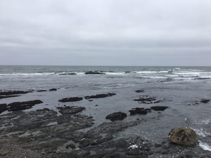 Sanctuary 30th Anniversary Series - Blog #15 