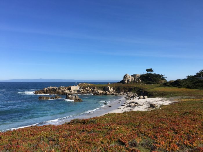 Blog: A great 30th year, and more to come By: Dan Haifley