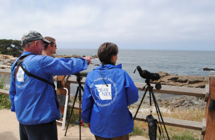 Blog: Finding Sanctuary - Volunteers looking out for harbor seals by: Lisa Wooninck