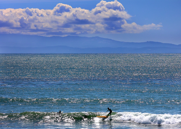 National Marine Sanctuaries Give Planet a Fighting Change by: Dan Haifley