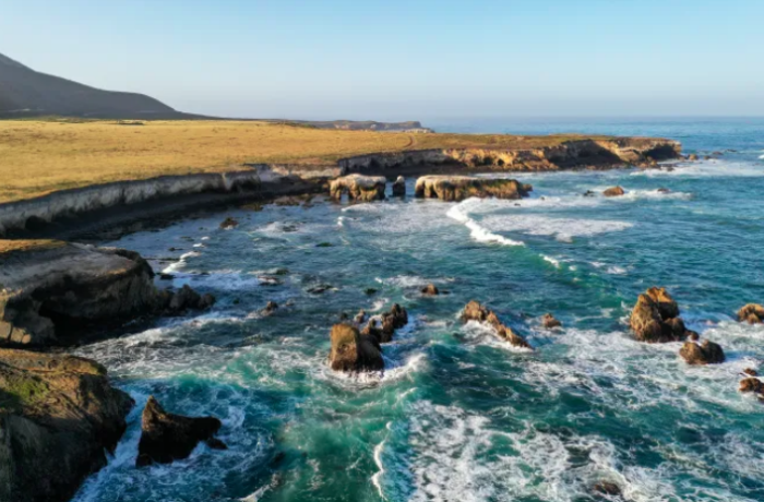 Blog: Finding Sanctuary - New sanctuaries under consideration By: Lisa Wooninck