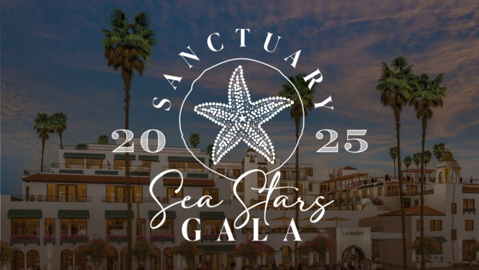 SEA STARS 2025 BAHIA BACKGROUND (4)