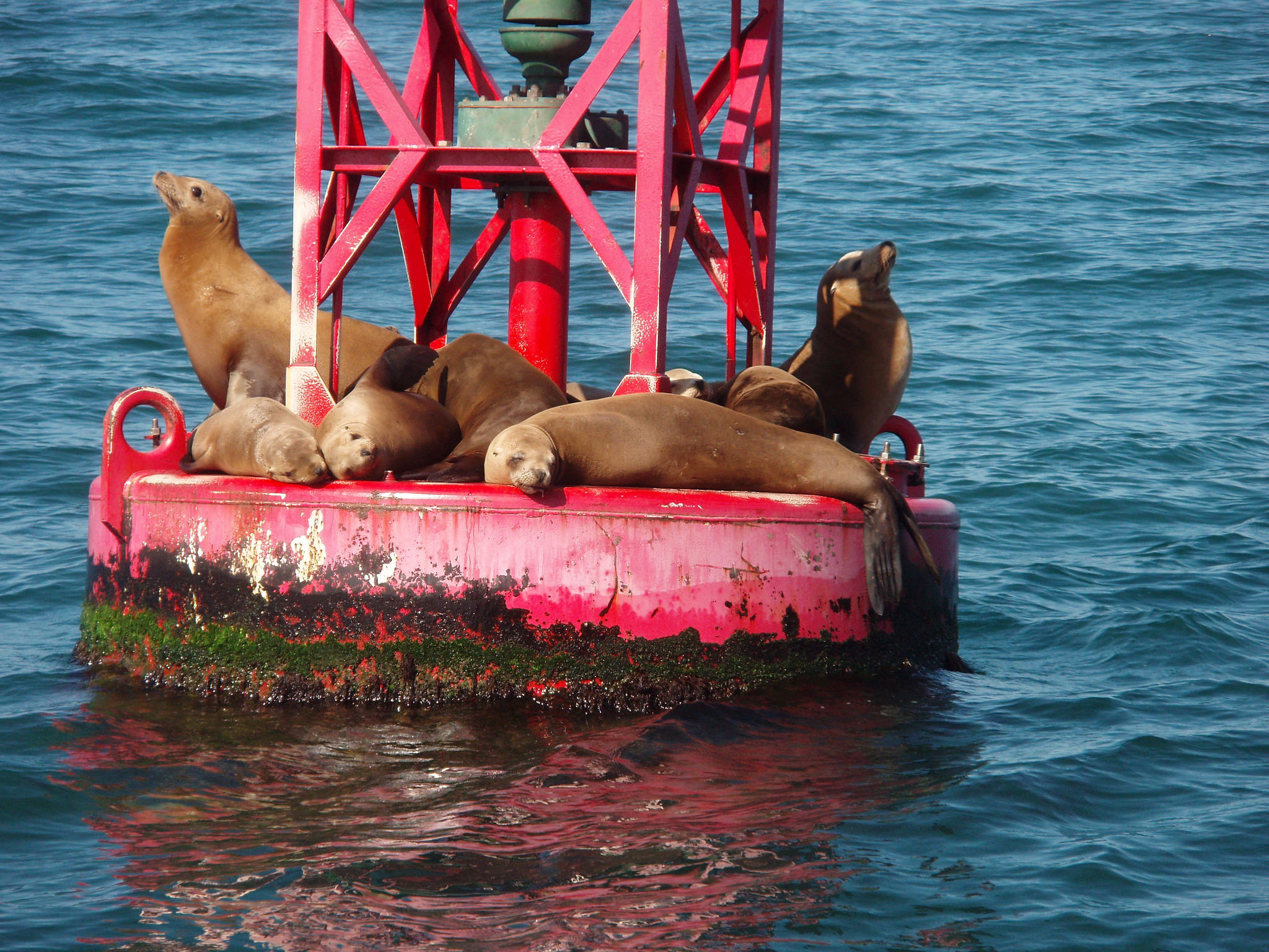 Monterey Bay | National Marine Sanctuary Foundation