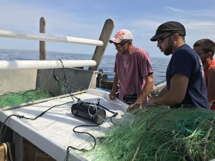 Commercial fisherman Doug Feeney, researcher Owen Nichols, and crew member Tim Welgey attach the underwater camera system to the gillnet. 