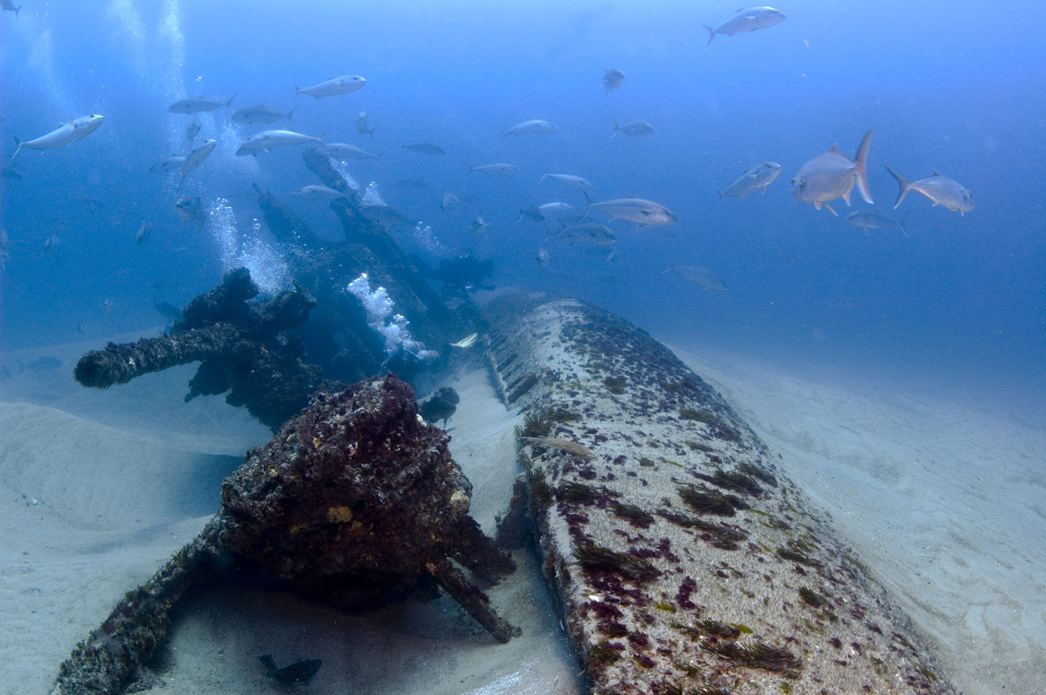 U-701: Sunk In Monitor During WWII | National Marine Sanctuary Foundation