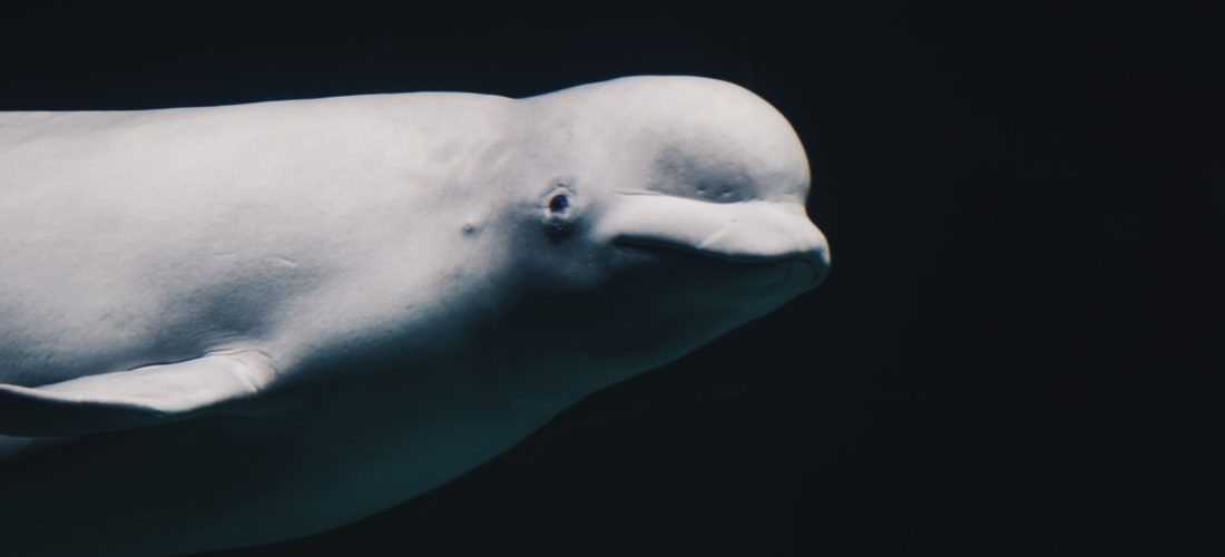 mendar-bouchali-djtZXyJkTU4-unsplash