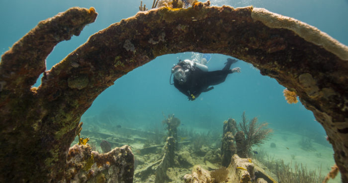 Discover our History: Diving in our National Marine Sanctuaries