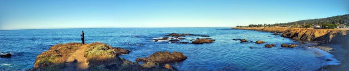Kelp Forest Restoration & Recovery in the Greater Farallones National Marine Sanctuary