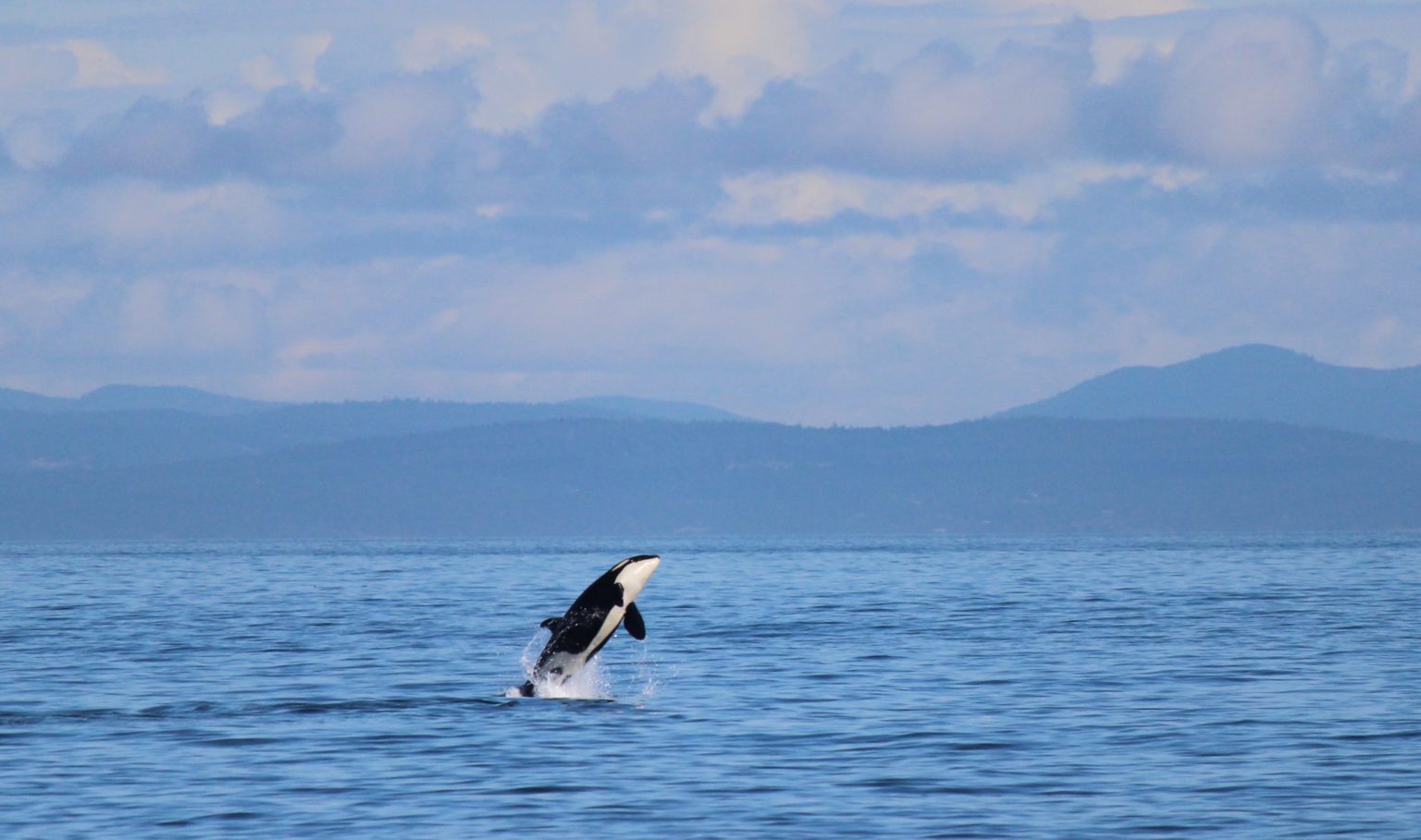 National Marine Sanctuary Foundation