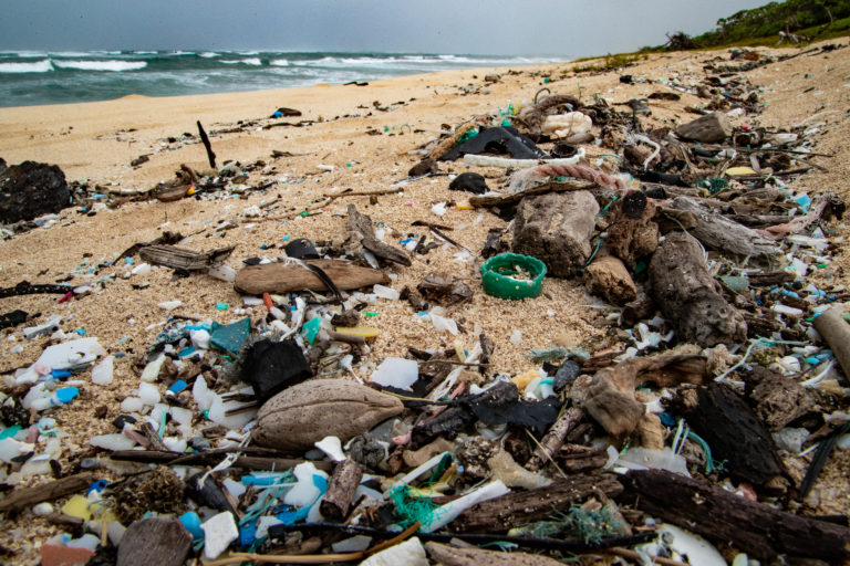 Marine Debris: Taking Matters into Your Own Hands | National Marine ...