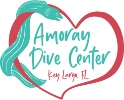 Amoray Diver Center Logo