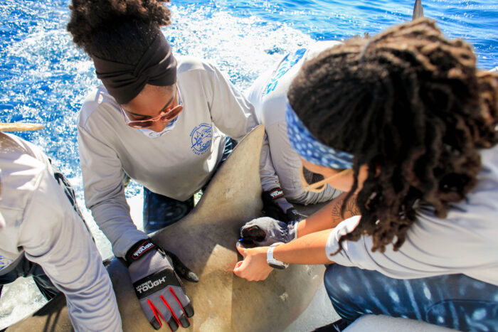 Black History Month: Meet MISS, an Organization Dedicated to Empowering Tomorrow’s Shark Scientists