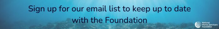 banner image with text "sign up for our email list to keep up to date with the Foundation"