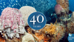 Gray's Reef NMS 40th Anniversary